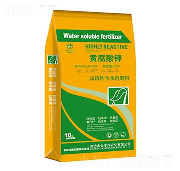 10kg�S�����-���S