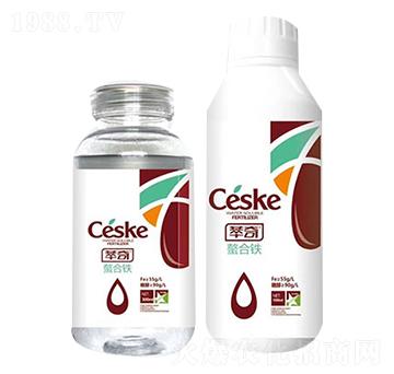 �����F-����-���S��