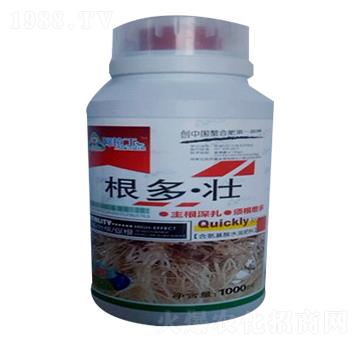 ������-������