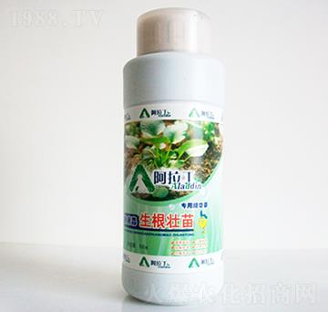 500ml�������猣��