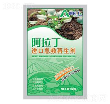 �M(j��n)�ڼ���������-������