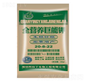 ȫ�I�B(y��ng)�����20-8-