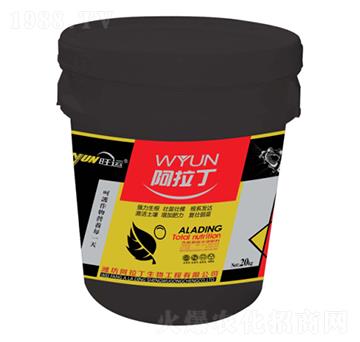 �_ʩ��-������