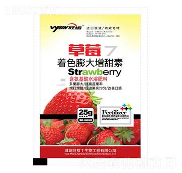 ��ɫ���������-������