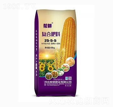 ��(f��)�����25-5-5-�͸��ʘI(y��)