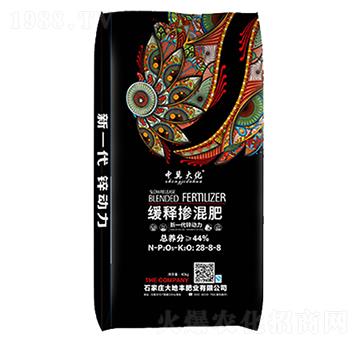 ��ጓ����28-8-8-����S