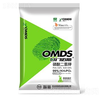 ��������-����ʘI(y��)