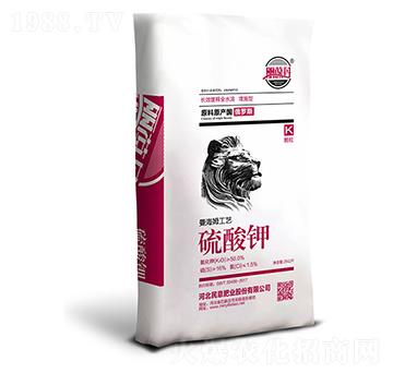 ������w��-����ʘI(y��)