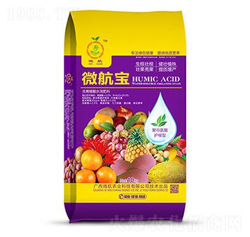 ΢����-����ʘI(y��)