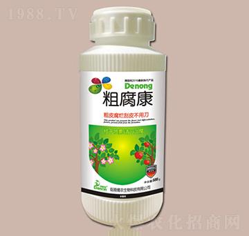 �ָ���-���r