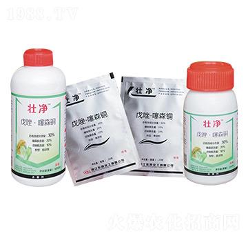 ������ɭ�~-�у�-�|�L(f��ng)����