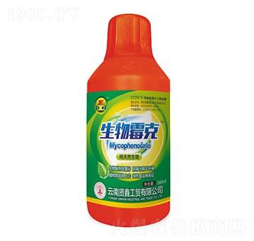 ��Ȼ����-�t��