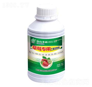 ��ݮ��������������-��ɽ����