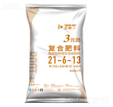 3Ԫ?ji��ng)ŏ?f��)�Ϸ���21-6-13-���w��(y��u)-�Ѭ��Y