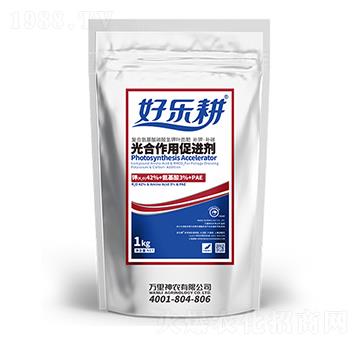 ������ô��M(j��n)�����~��ʣ�-�Ø�(l��)��-�f(w��n)�����r(n��ng)