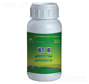 �ࠖ���w��-���r(n��ng)����