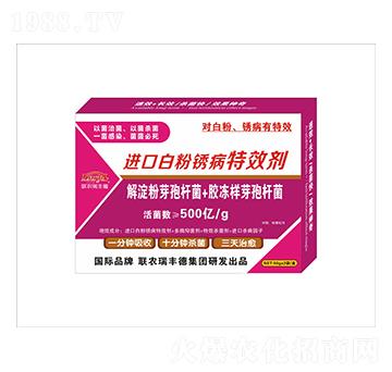 ΢�����-�M(j��n)�ڰ׷��P����Ч��-���S��