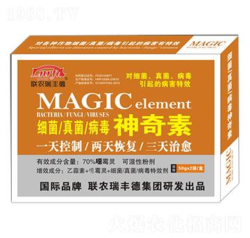 ��(x��)���������������-(li��n)�r(n��ng)���S��