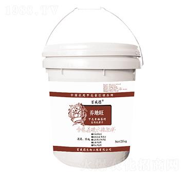 �B(y��ng)����-������