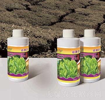 ���~��(zhu��n)�÷�-���(d��ng)��-������