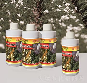 �޻���(zhu��n)���~���-��(qi��ng)���޻�-������