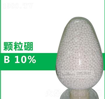 10%�w����-�����Ƽ�