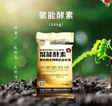 ���ܽ���-��������