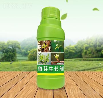 ȫ���ѿ���L��-��Ԫ��