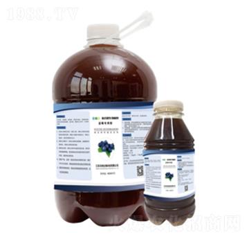 �{(l��n)ݮ��(zhu��n)���͏�(f��)��΢�������-�ּ{����