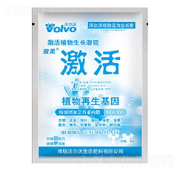 30gֲ��������L(zh��ng)��-����-������