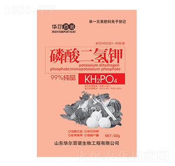 500g��������-�A�����Z