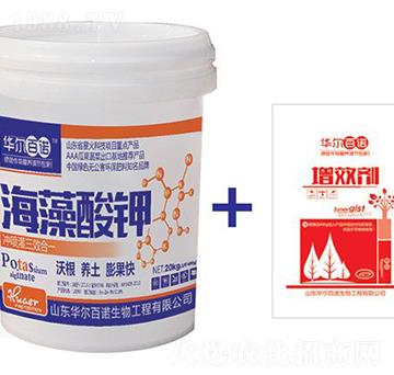 �������-�A�����Z