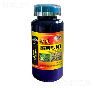 �S�Ό����~���-�A�����Z