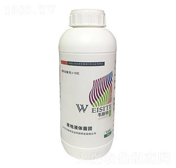 ����Һ�w���F(tu��n)-�f˹��-���r(n��ng)�I(y��)