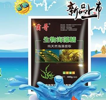 ���ﺣ�徫-����