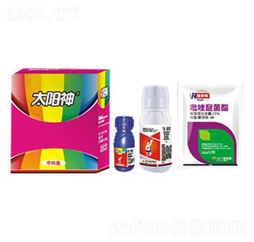 白龜太陽神-白龜生物