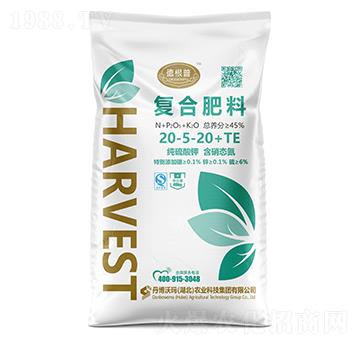 ��(f��)�Ϸ���20-5-20+TE-�¸���-�����֬�