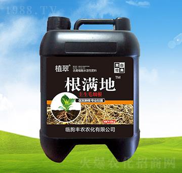 ���������I(y��ng)�B(y��ng)�B(y��ng)���ʡ�5