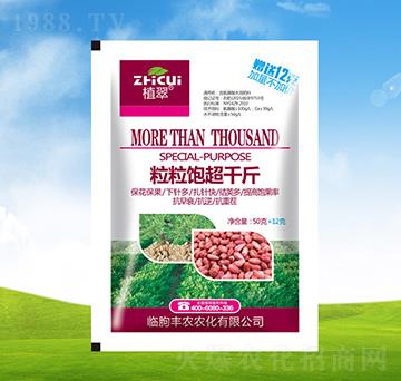 �����ǧ��-ֲ��-�S