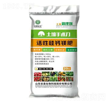 ���Թ��}�V��-�������g(sh��)