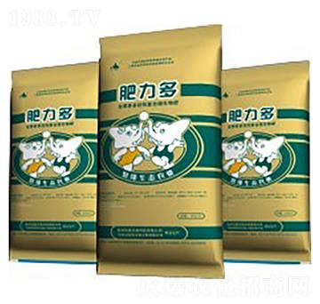 �Z�ǌ�����-������1̖-��������