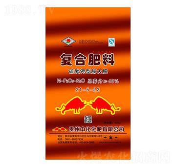 ����������ͺϷ���21-5-22-�пƻ���