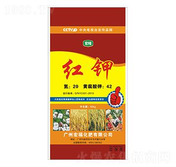 �t�-�������