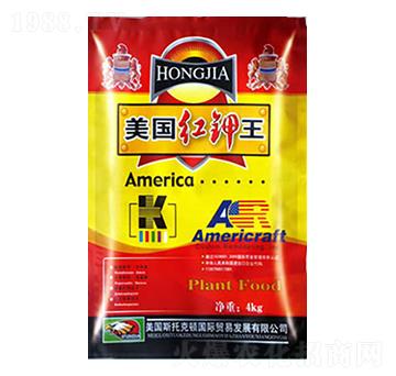 �����t���-�����ʘI(y��)