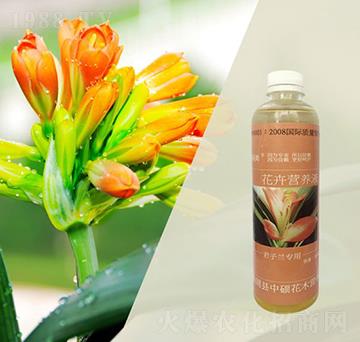 �����m��(zhu��n)�àI(y��ng)�B(y��ng)Һ-�ֱ�ķ-�T�ַ���