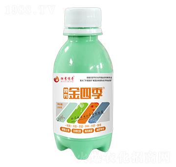 ��(d��)����ļ�-��(d��)�����