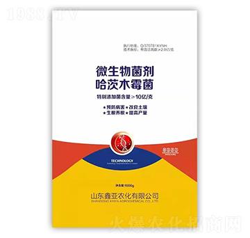 ΢�������������ľù����-�΁��r��