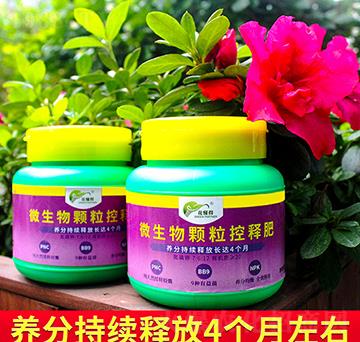 ΢�����w����ጷ�-������