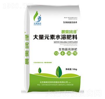 �������⛷�13-6-35+TE-���W����