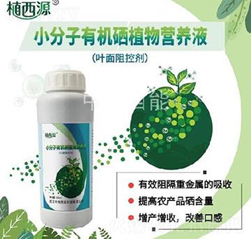 С�����ЙC(j��)��ֲ��I(y��ng)�B(y��ng)Һ-�е�����